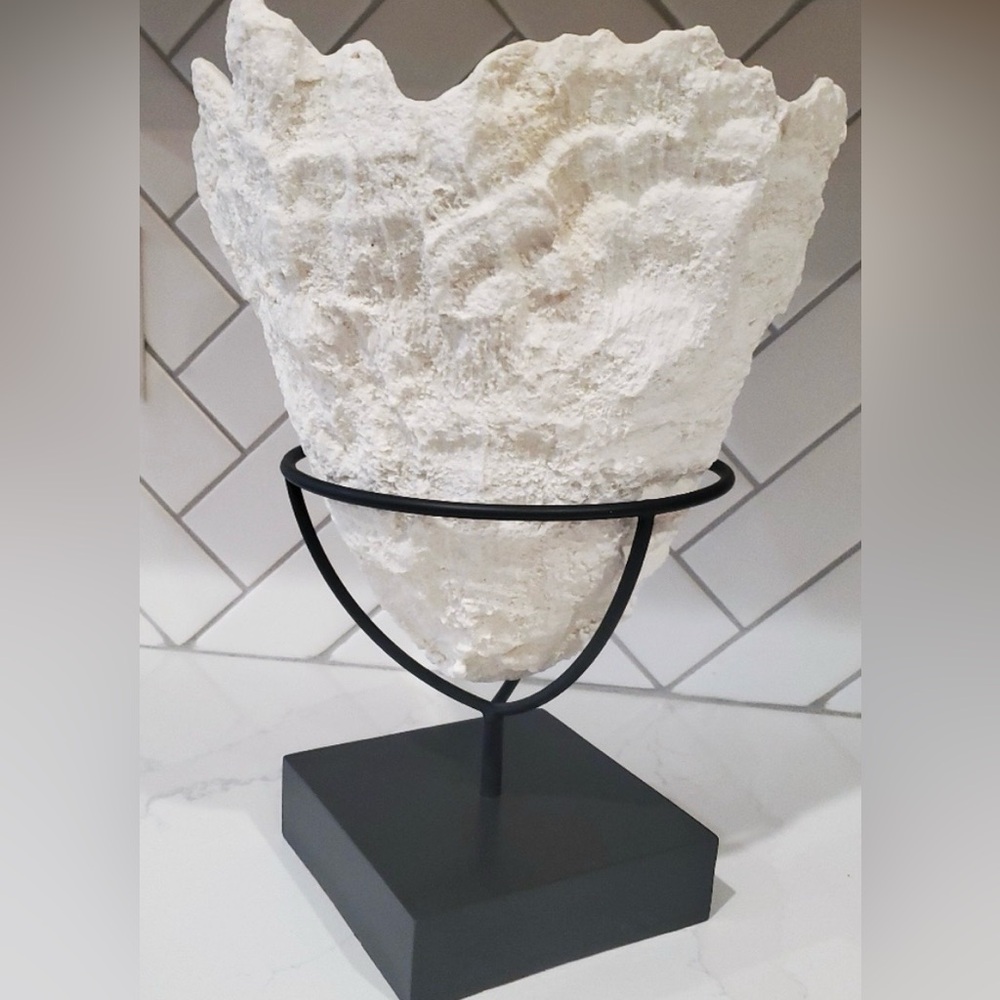 Pottery Barn Seashell Ice Bucket